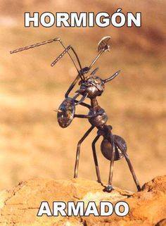 meme hormigon armado ingenieros arquitectos hormiga 