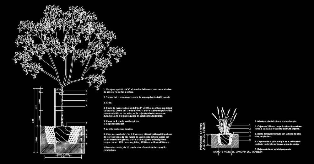 Bloques detalles plantado de arboles y arbustos en AutoCAD dwg 2d